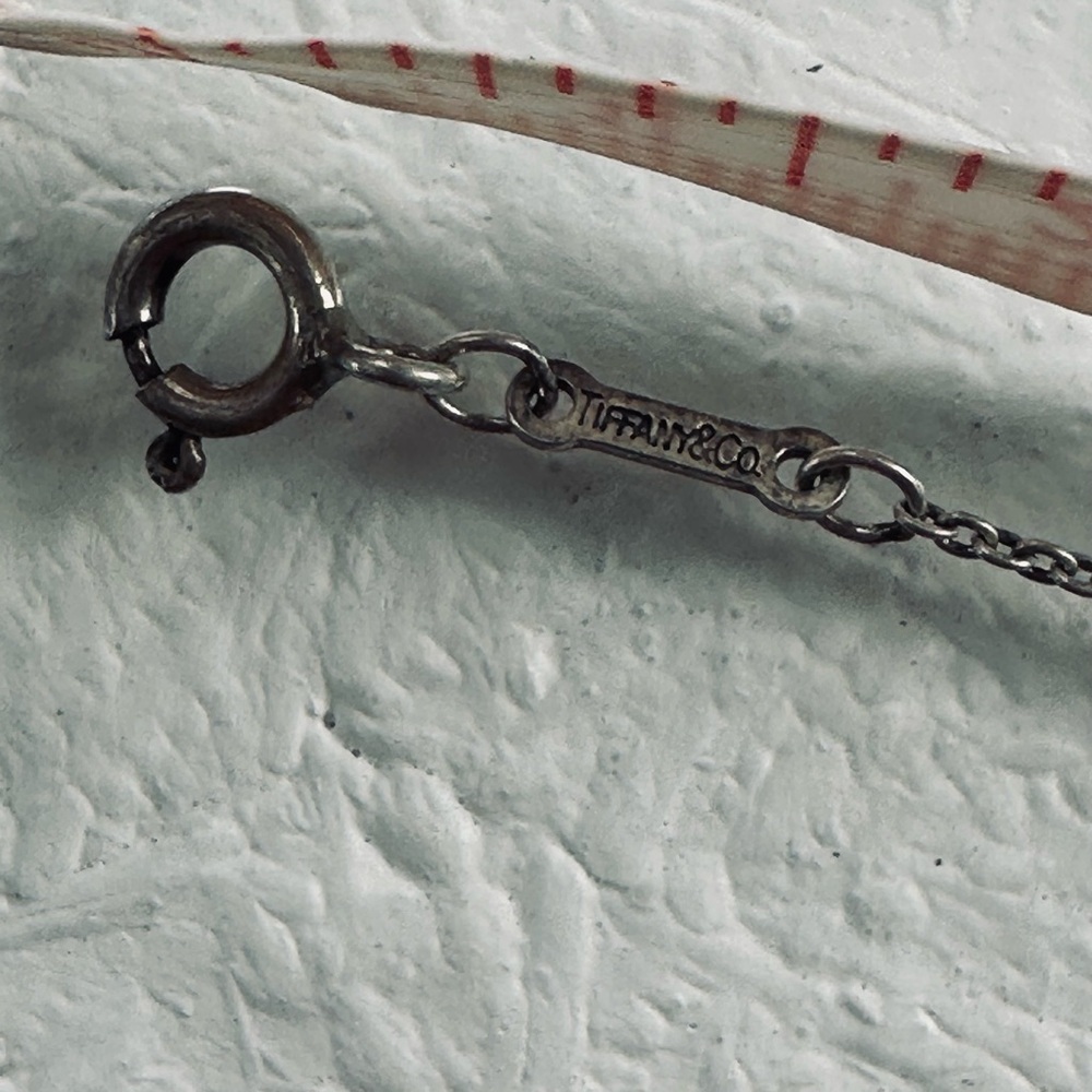 Tiffany & Co. Sterling Silver Elsa Peretti Eternal circle Necklace - Silver - Picture 4 of 6